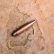 DTAC 6mm 115gr RBT Closed Nose - Boron Nitride (500ct box) 