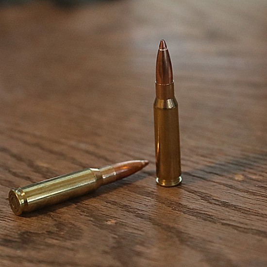 DTAC .308 Precision Loaded Ammo with NOSERING®  Application (60 Rounds)