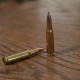 DTAC .308 Precision Loaded Ammo with NOSERING®  Application (60 Rounds)