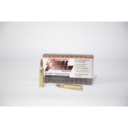 223 FinalFinish Ammo