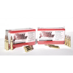 308 FinalFinish + TMS Loaded Ammo Complete Care ProPack